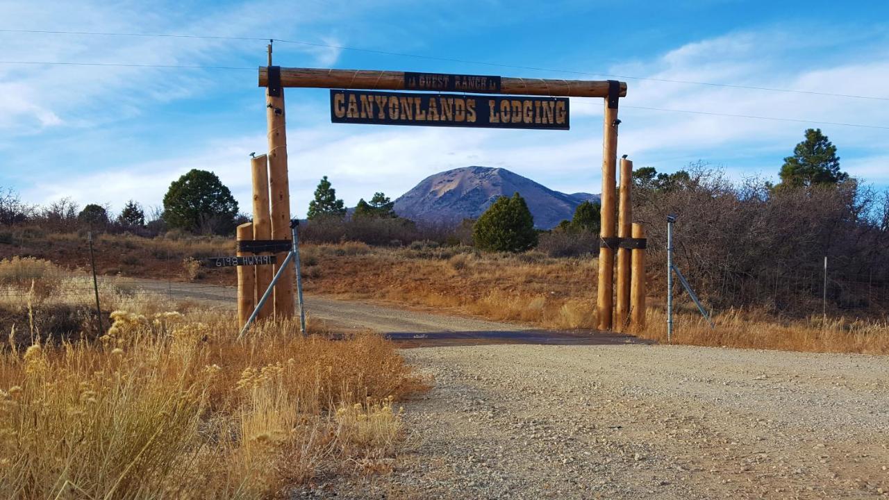 Ranch Mountain Cabin, Stunning! BBQ, Campfire, Hiking Monticello Exterior foto