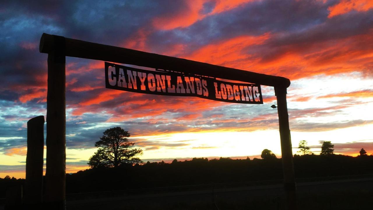 Ranch Mountain Cabin, Stunning! BBQ, Campfire, Hiking Monticello Exterior foto